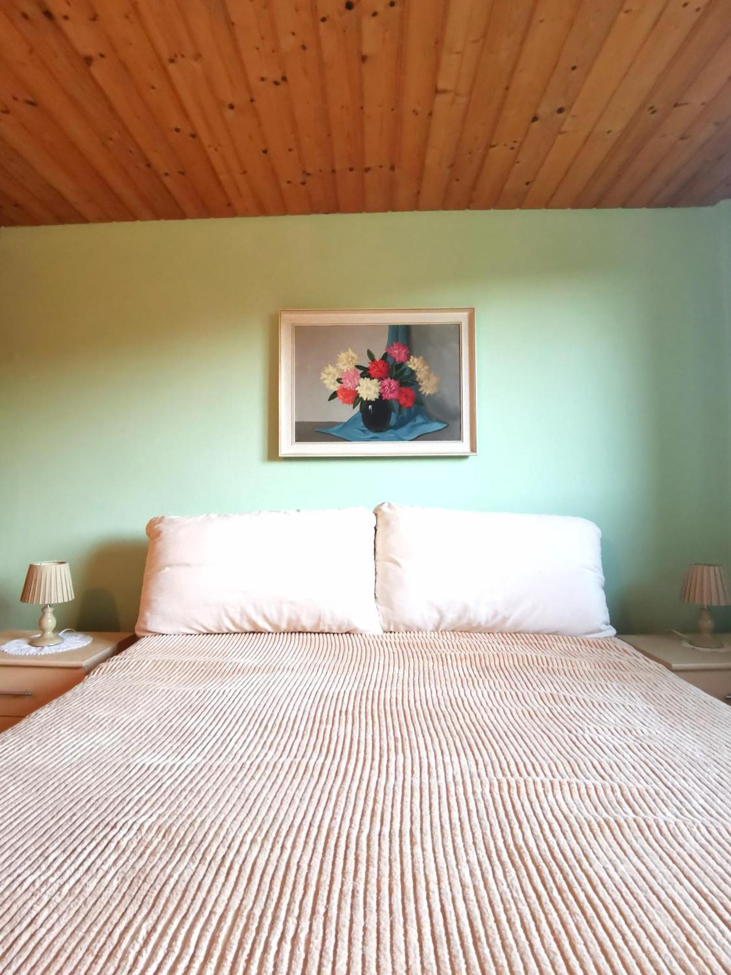 Grosses Ferienhaus Plattensee Balaton - Nyaralo Haz 6 Szobaval, 5 Fuerdoszobaval, 3000 Nm Διαμέρισμα Szolad Εξωτερικό φωτογραφία